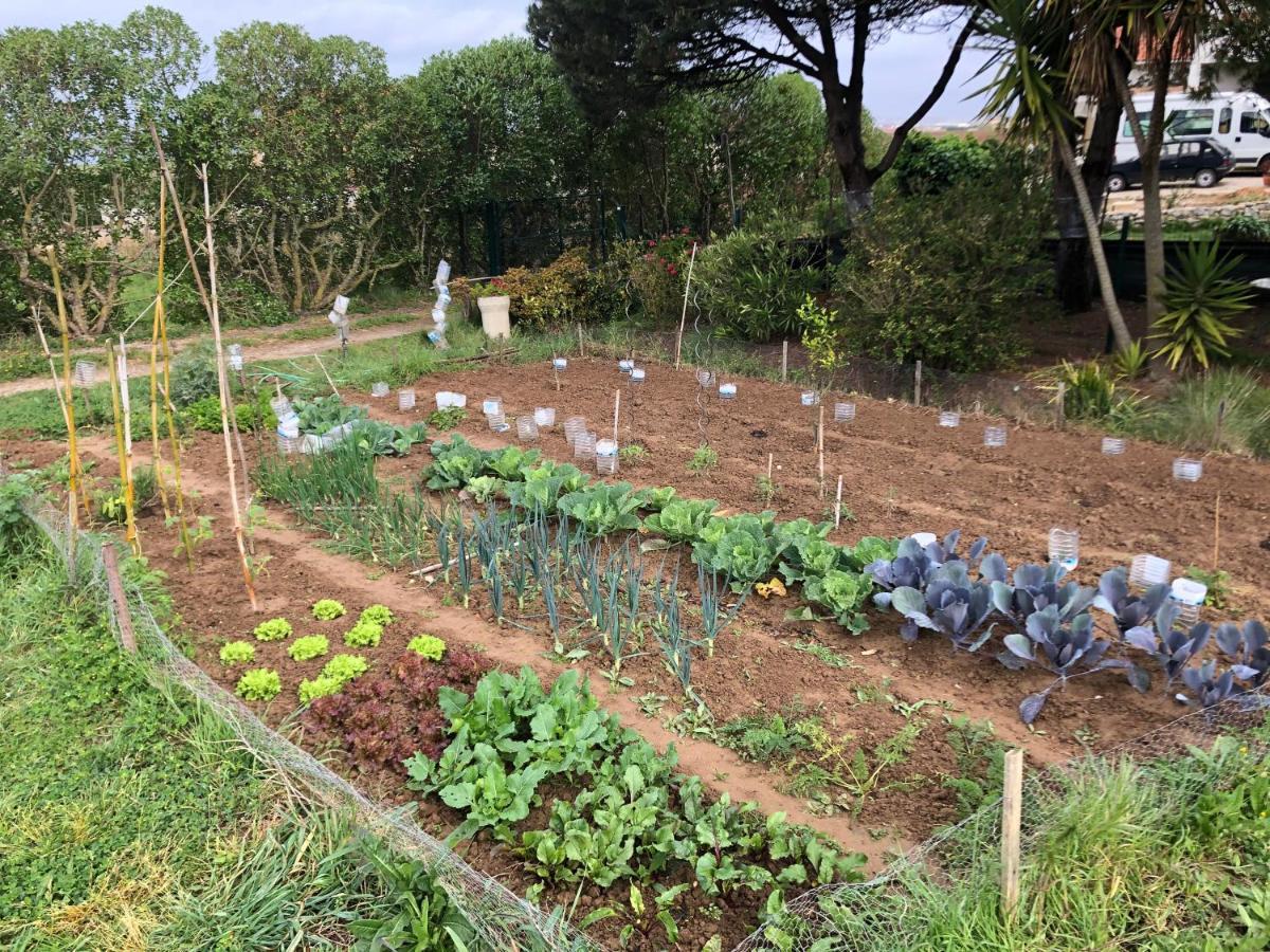 לינה וארוחת בוקר São Bernardino Casa Jardim Peniche מראה חיצוני תמונה